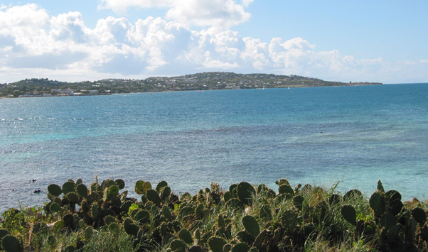 prickly pears on prickly pear island!